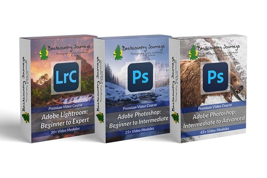 Backcountry Journeys Photography Tours, & Safaris