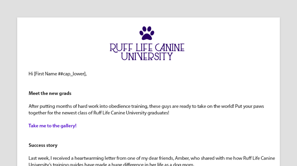 A screenshot of the Newsletter Email