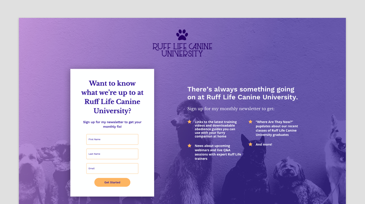 A screenshot of the Newsletter Sign-up Landing Page