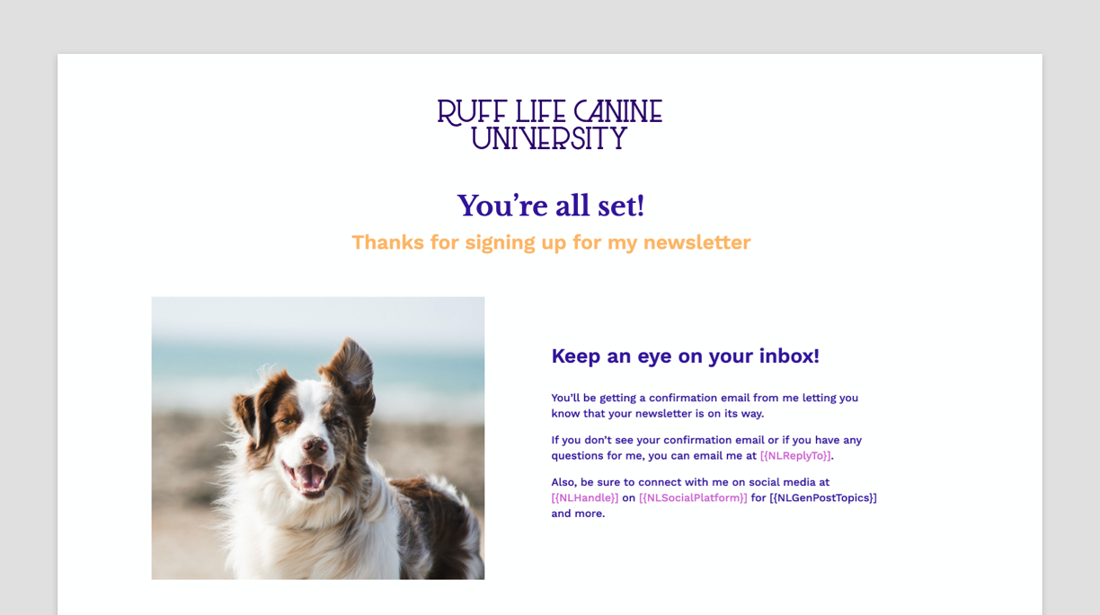 A screenshot of the Newsletter Sign-up Thank You Landing Page