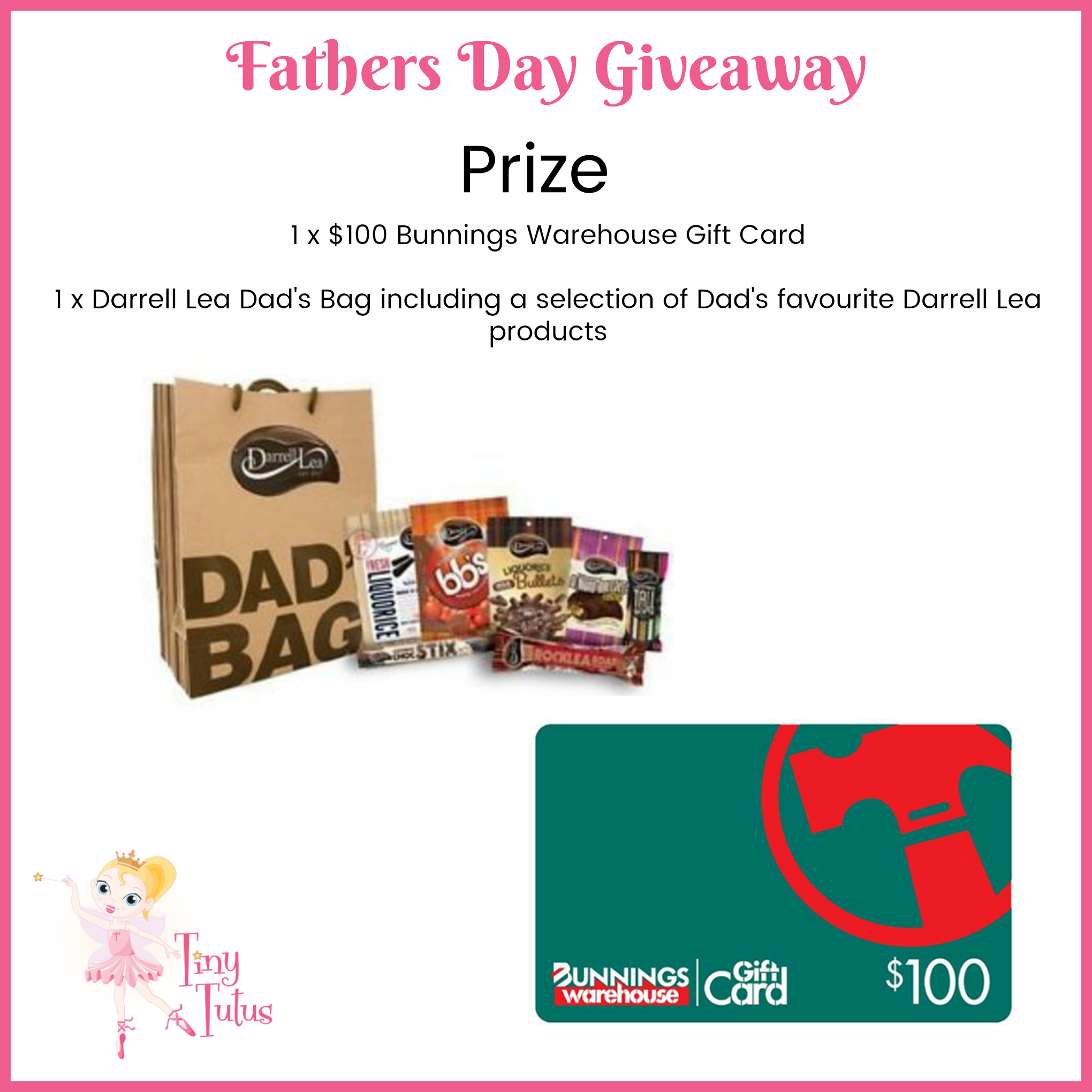 bunnings gifts for dad