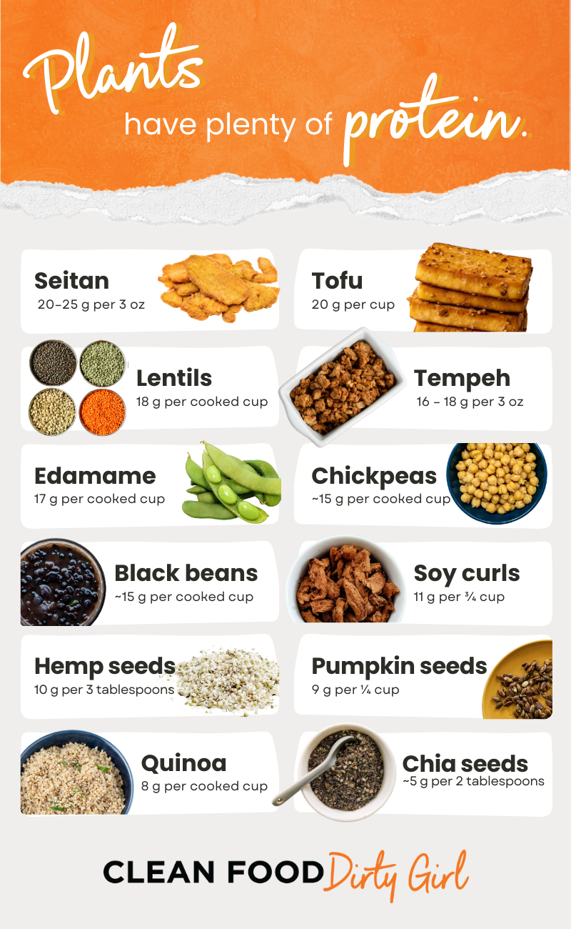 Plant based protein sources graphic