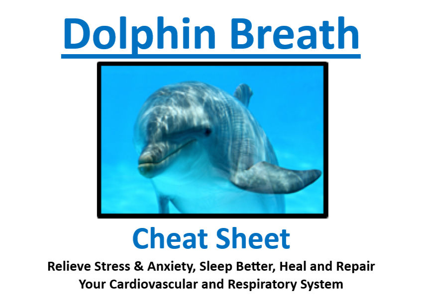 Dolphin Breath Cheat Sheet