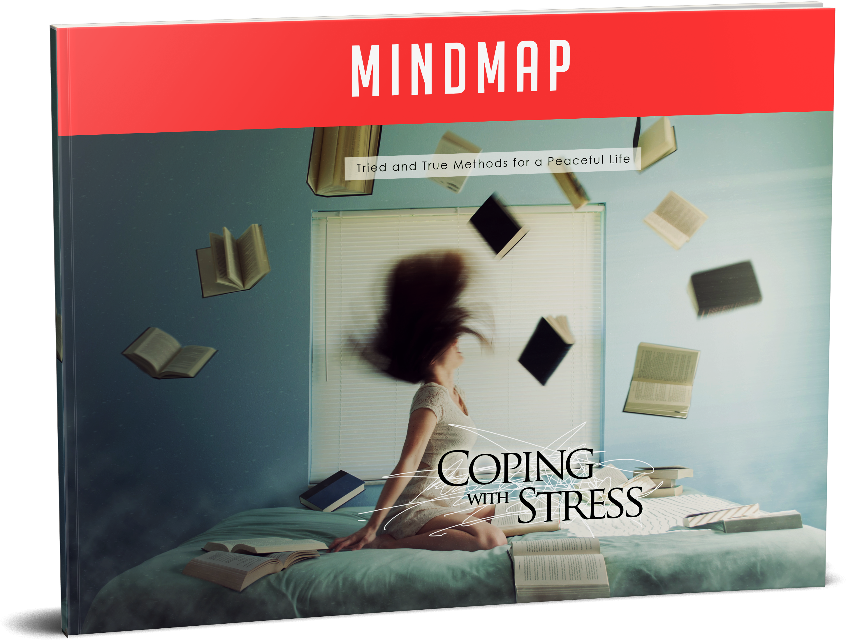 Coping With Stress Mind Map