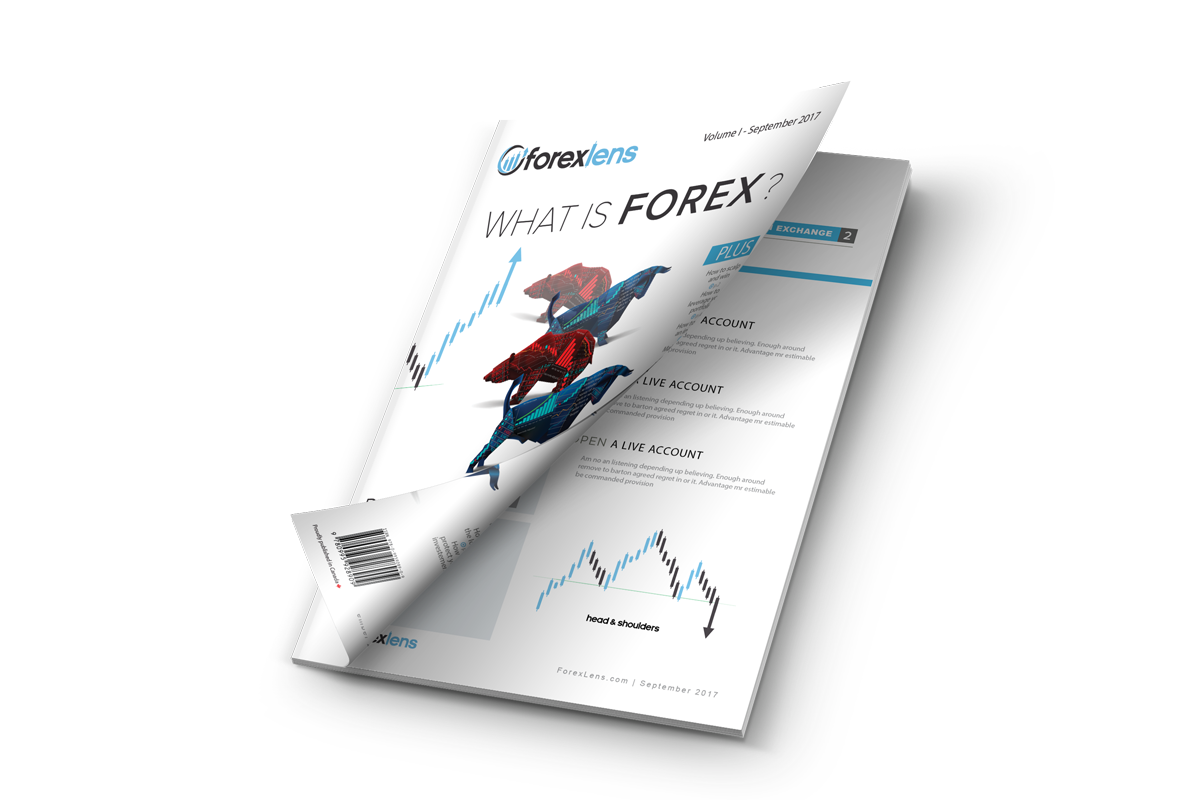 How Does Forex Work - 
