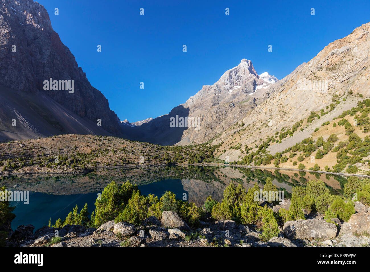 test