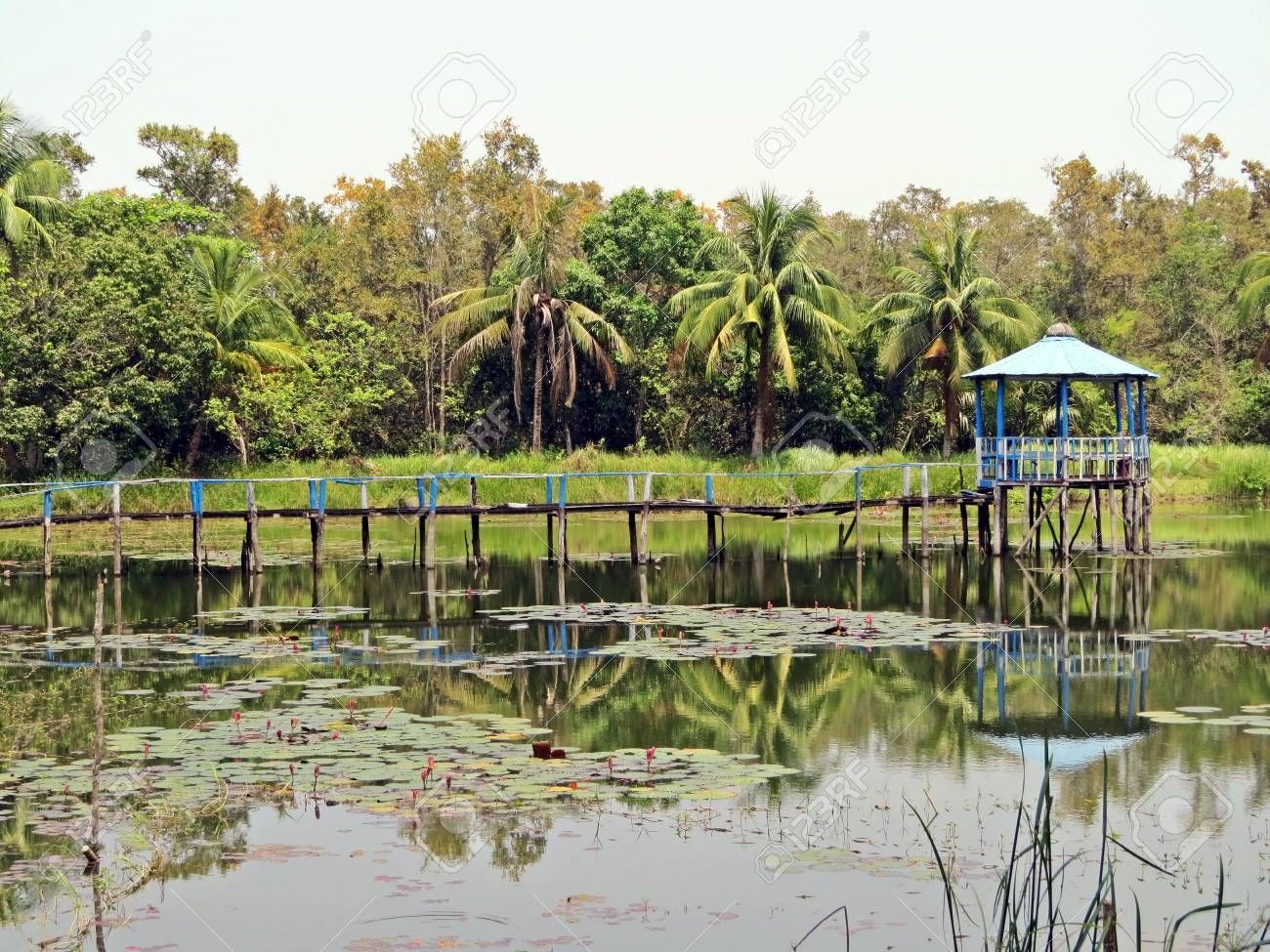 test