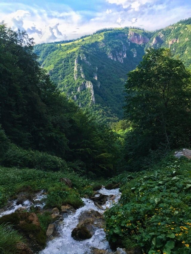 test