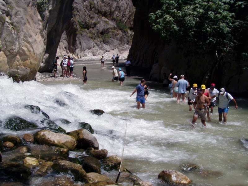 test