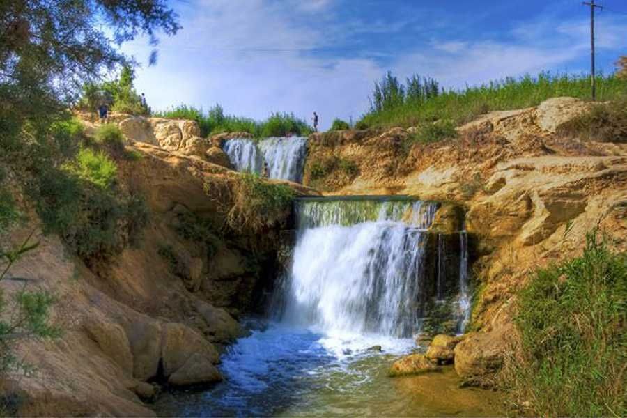 test