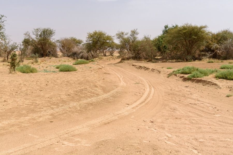 test