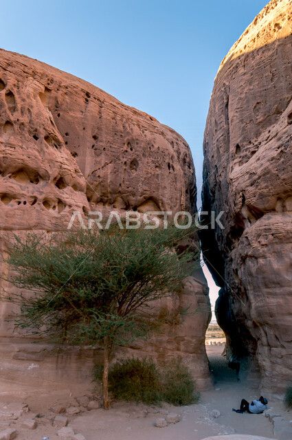 test