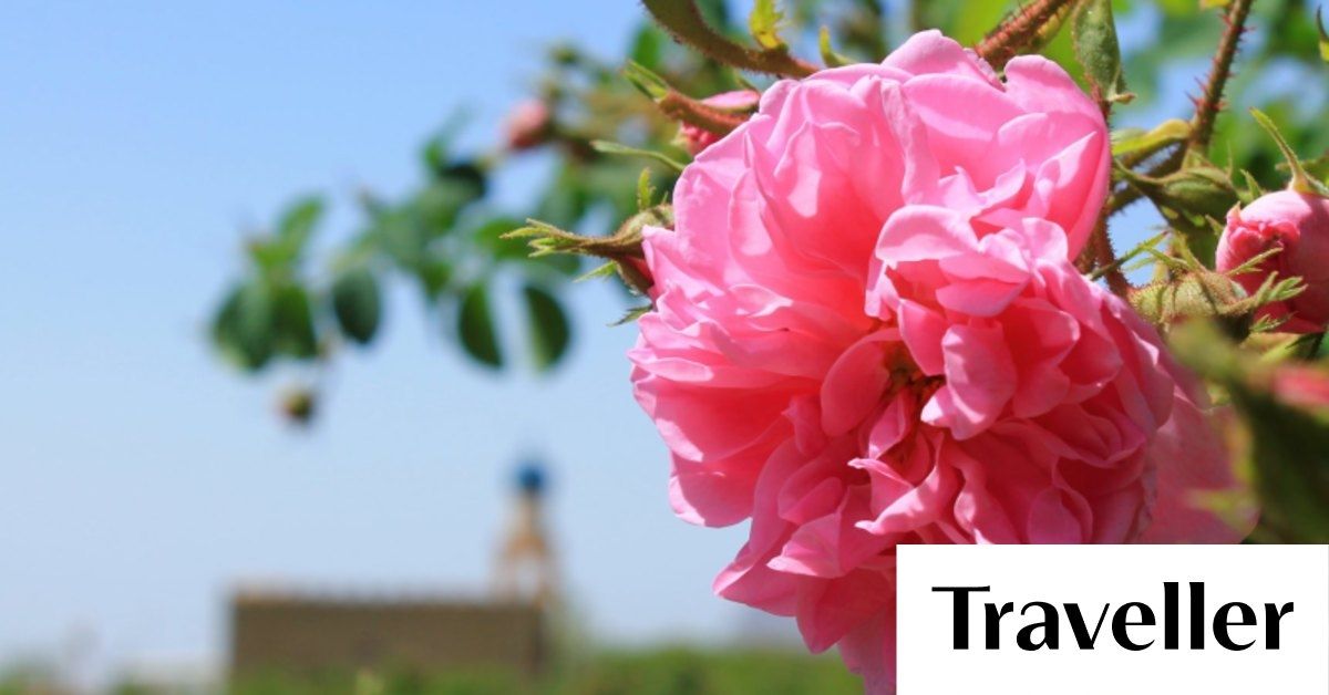 test