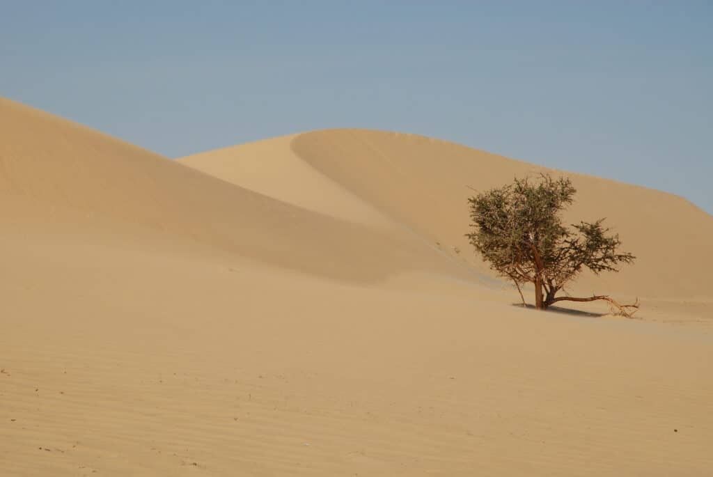 test