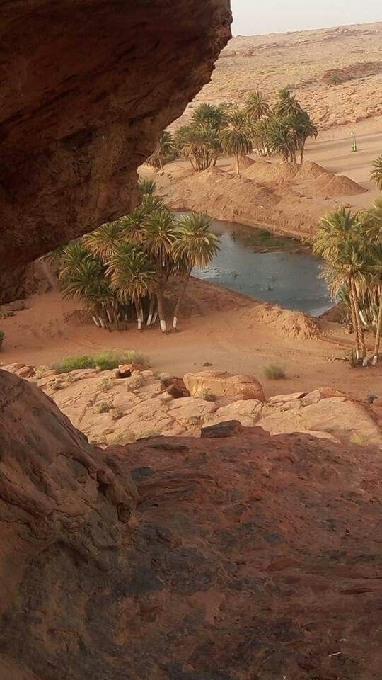 test