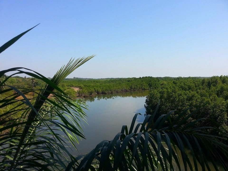 test