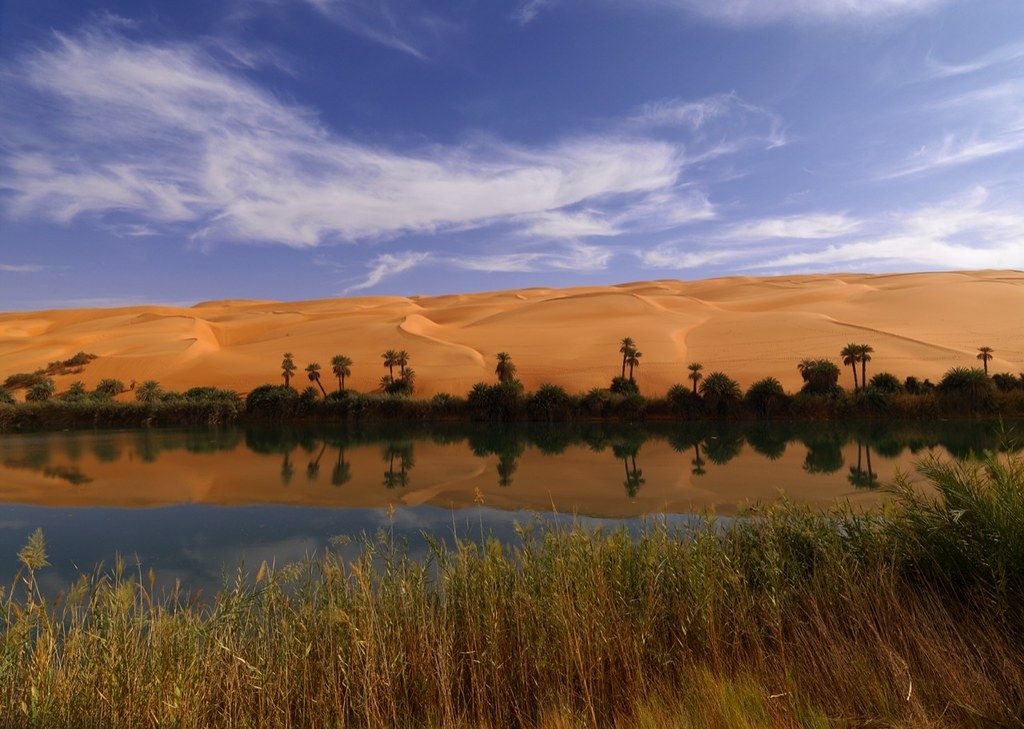 test