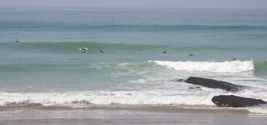 test