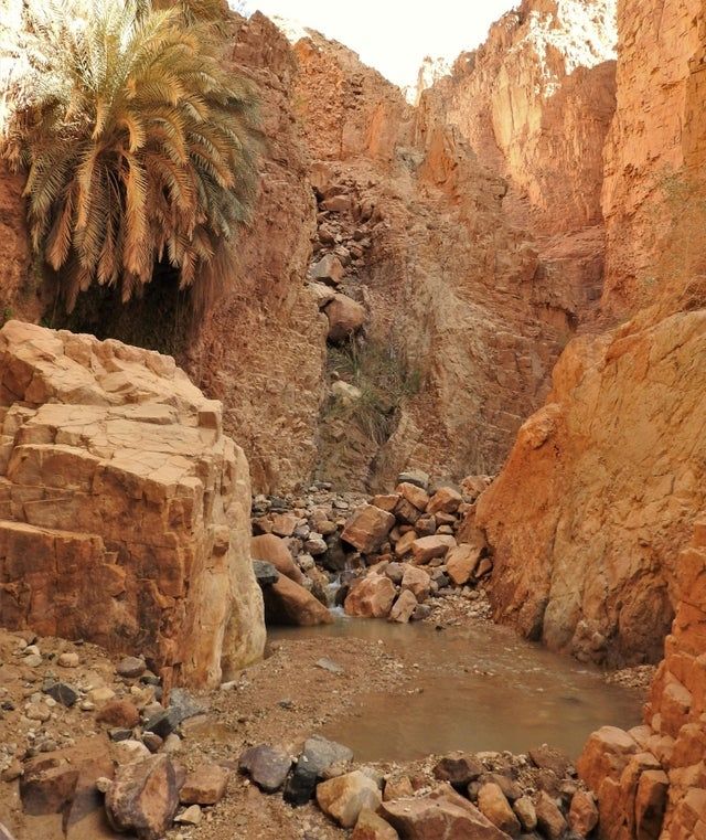 test