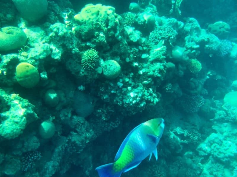 test