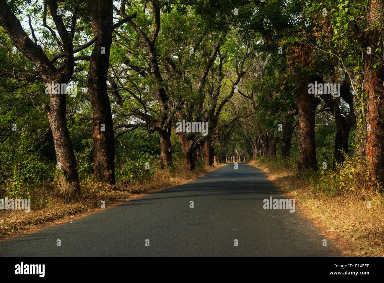 test