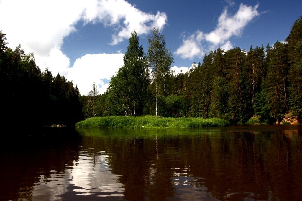 test