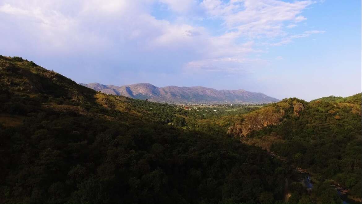 test