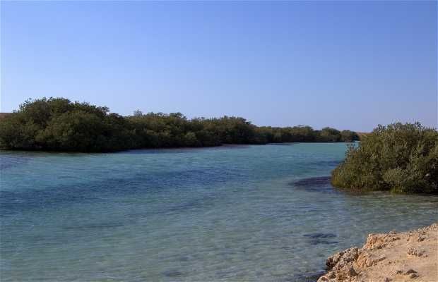 test
