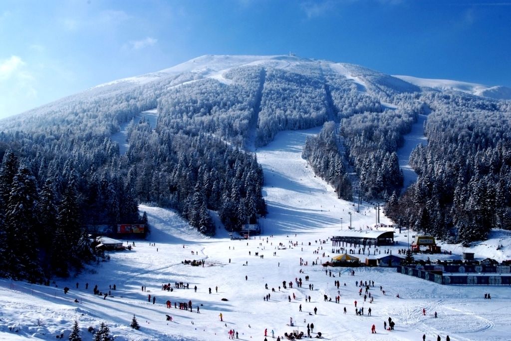 test