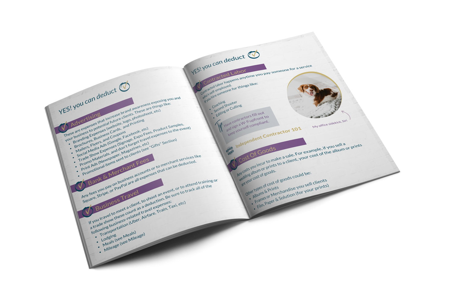 Photographer Retirement: Creative Professional Financial Guide