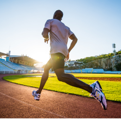 Strength Coach Network Performance Coaching 103