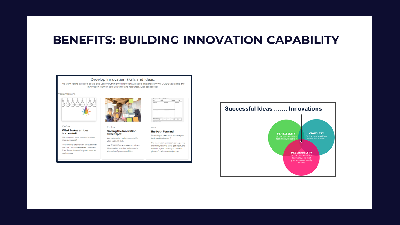 Building Innovation Capability