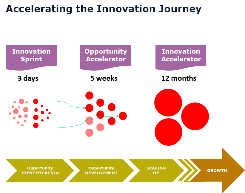Accelerating the Innovation Journey