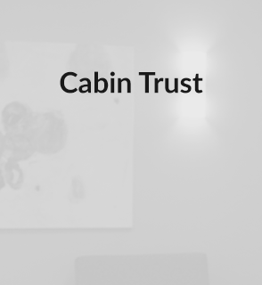 MJ Austin Law Estate Planning Cabin Trust