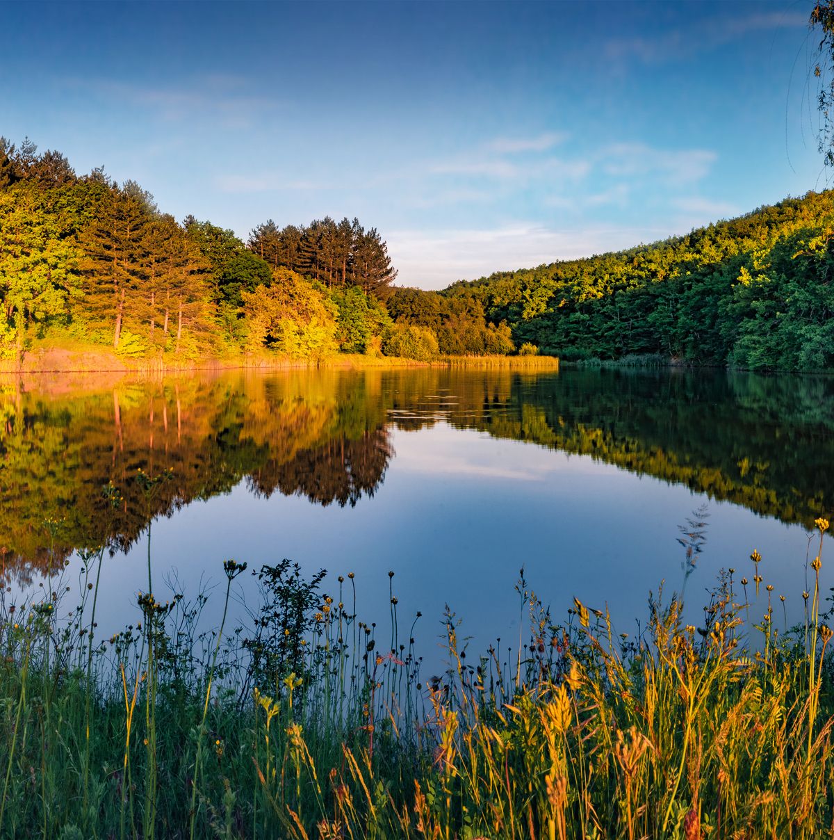 A still lake with a mirror-clear reflection — what clarity looks like