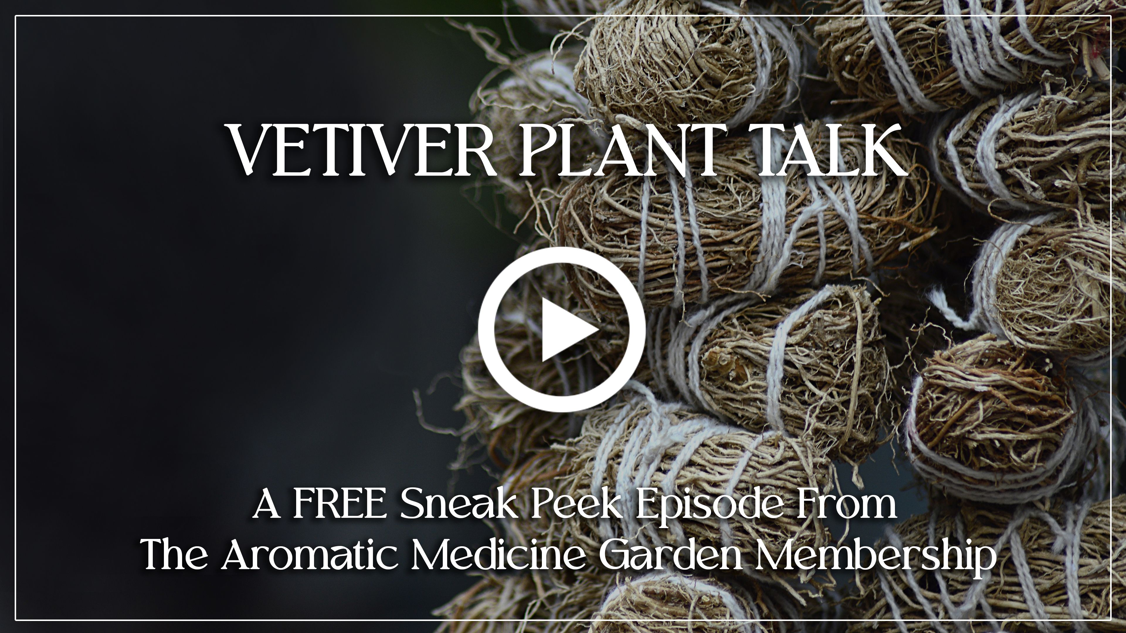 Your Free Sneak Peek - Vetiver Plant Talk