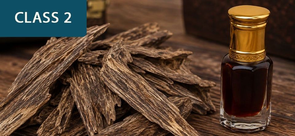 Understanding Fine Aromatics - Class 2 of The Aromatic Connoisseur