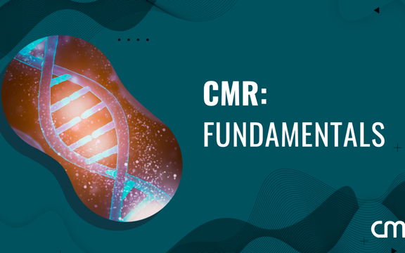CMR Fundamentals | Emotional Healing & Trauma Integration Course