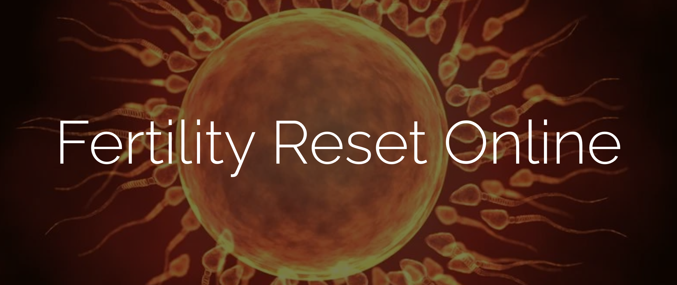 Logo for Fertility Reset Online