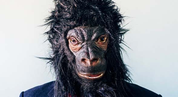 A guy wearing a coat with a gorilla mask on