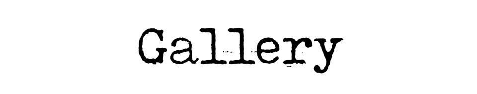 Black text that says "Gallery" on a white background