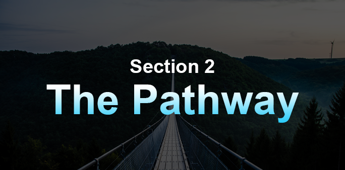 A road pathway to forest