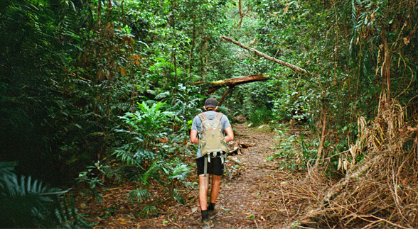 A girl that is lost in the cornfield at night