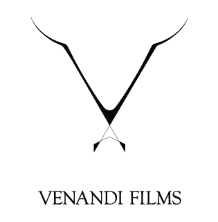 A V shaped bird logo