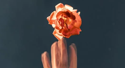 A bright orange rose in a painting