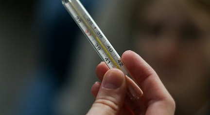 A hand holding a thermometer