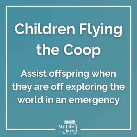 Children Flying the Coop - assist offspring when they are off exploring the world in an emergency