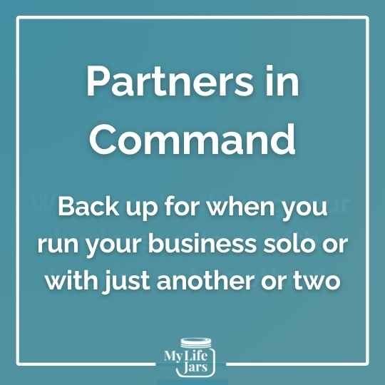 Partners in Command - Back up for when you run your business solo or with just another or two