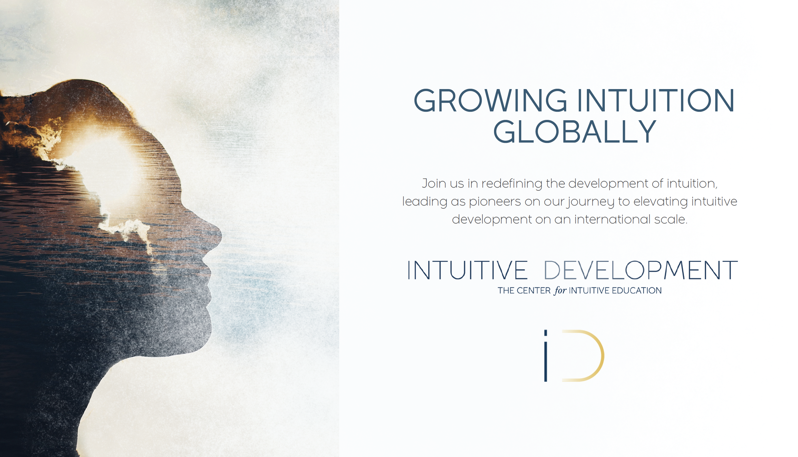 Intuitive Development Business Overview Pitch Dec