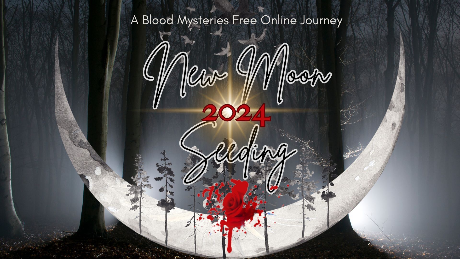 JOIN NOW Seeding 2024 Blood Mystery Activation   220771.289cc3cd48e66db4bf80aac10ad66ef5.JPEG